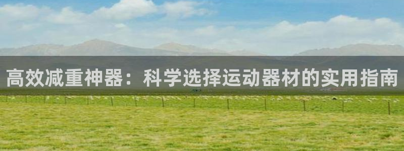 征途国际