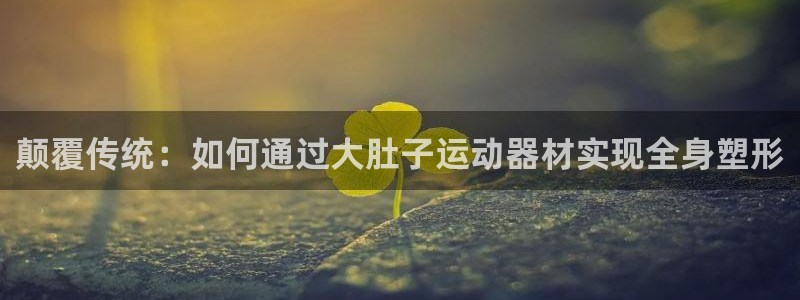 征途国际集团简介