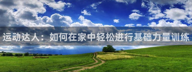 征途国际软件