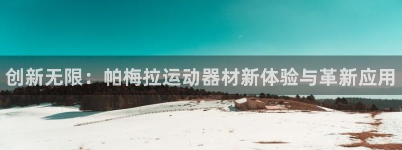 征途国际新能源