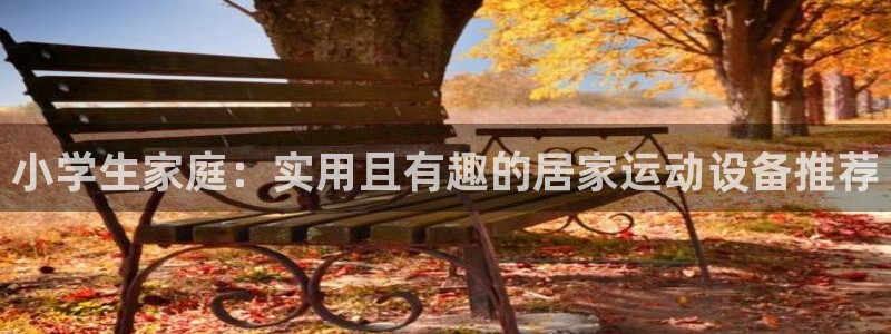征途国际官方：小学生家庭：实用且有趣的居家运动设备推