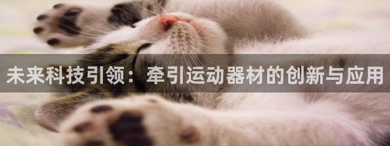 征途国际平台注册流程视频：未来科技引领：牵引运动器材的创新与