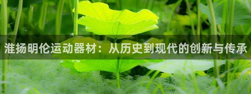 征途国际神州：淮扬明伦运动器材：从历史到现代的创新与传承