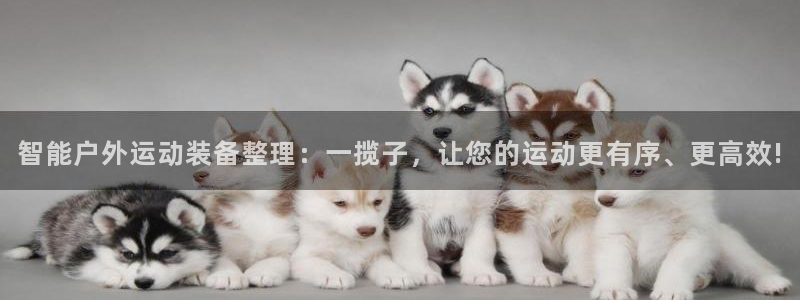 征途国际平台注册要钱吗：智能户外运动装备整理：一揽子