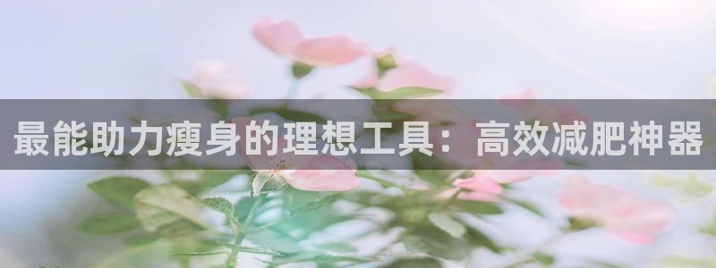注册征途国际：最能助力瘦身的理想工具：高效减肥神器