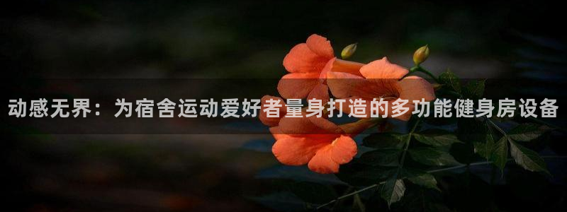 征途国际神州：动感无界：为宿舍运动爱好者量身打造的多