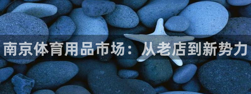 征途国际