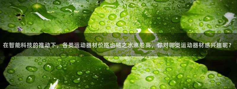 征途国际招商电话是多少啊：在智能科技的推动下，各类运动器材价