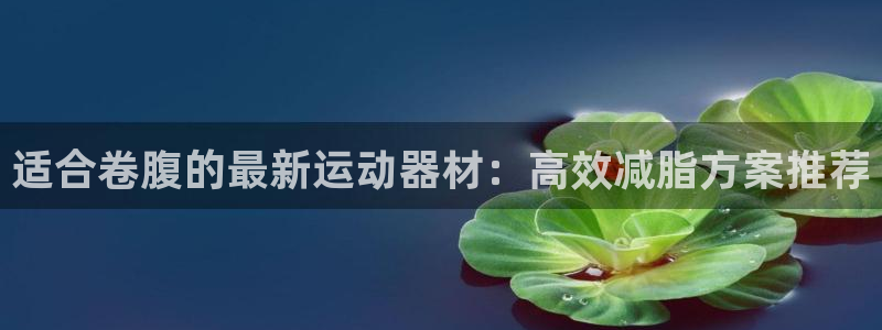 德国征途国际集团：适合卷腹的最新运动器材：高效减脂方案推荐