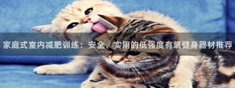征途国际招商电话号码是多少号