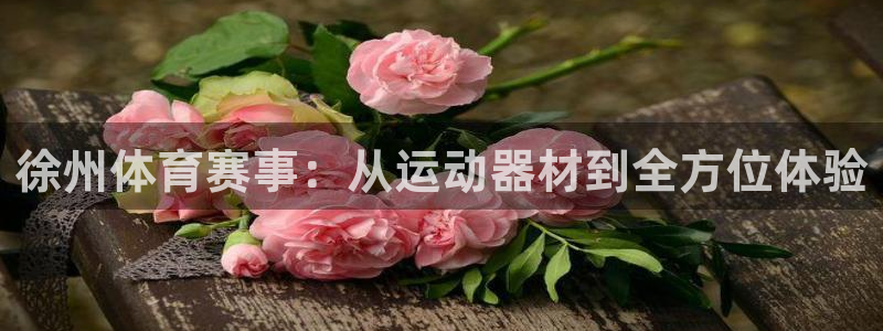 征途国际娱乐是那个系列的台子