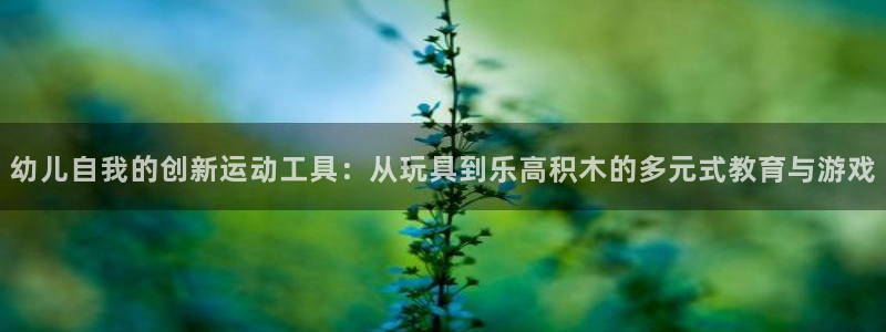 征途国际软件：幼儿自我的创新运动工具：从玩具到乐高积木的多元