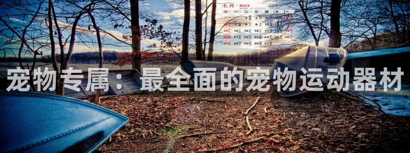 征途国际集团官网首页